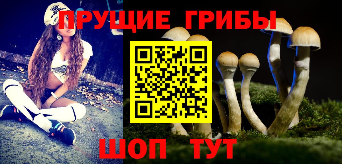 Галлюциногенные грибы GOLDEN TEACHER Ирбит