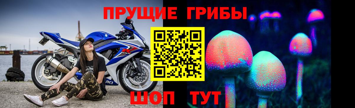 Ирбит  Галлюциногенные грибы Psilocybe  Вход с VPN  Галлюциногенные грибы мицелий 